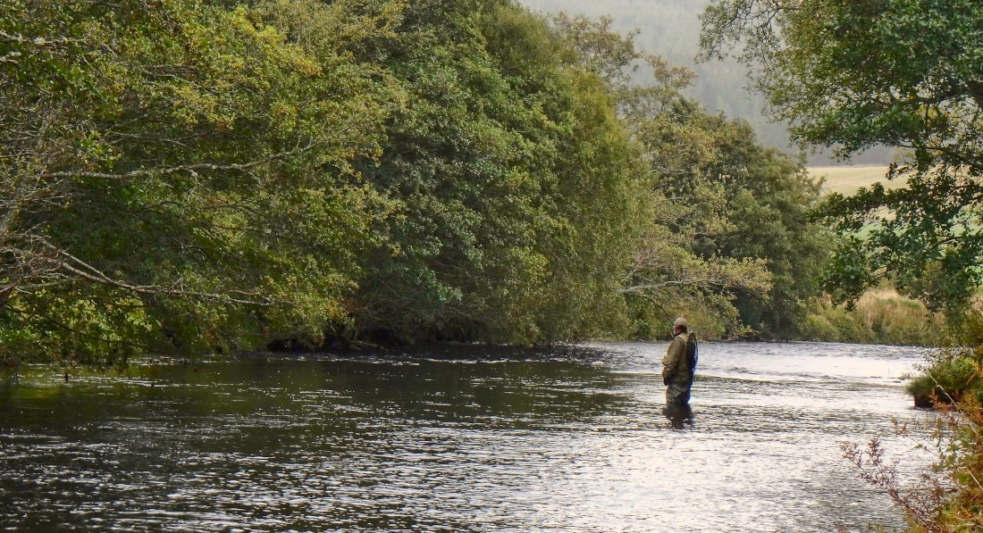 Mike River Don and DT Mallard Fly Lines